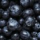 blueberries, vitamins, superfood